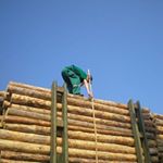 Profile Picture of debi newton (@newton2572aq) on Instagram