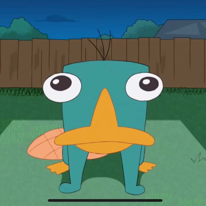 Profile Picture of _jasonkwan_ (@_jasonkwan_) on Tiktok