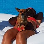 Profile Picture of Barbara Pacei (@barbara.1974) on Instagram