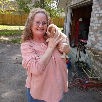 Profile Picture of Lori Steele (@LoriSte71932745) on Twitter