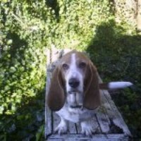 Profile Picture of Dwight Campbell (@dwight-campbell-1) on Quora