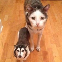 Profile Picture of Rick Chung (@rick-chung-5) on Quora