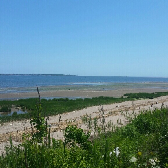 Simone Gordon - Poshmark Profile Picture of Simone Gordon (@sgordon009) on Poshmark