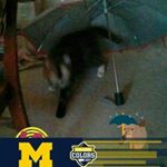 Profile Picture of Brenda Kline (@brenda.everett_1979) on Instagram