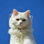 Profile Picture of Faye Lynette Domingo Villacillo (@itsme.fayeahhhh) on Facebook