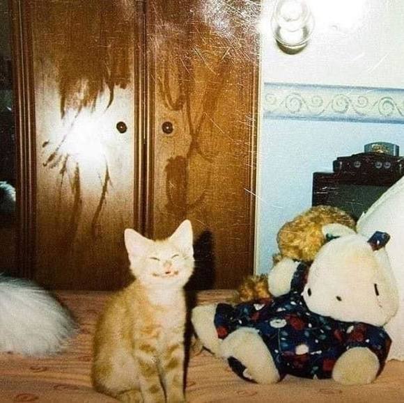 Profile Picture of Shana Parenteau (@shanasummersky1) on Poshmark