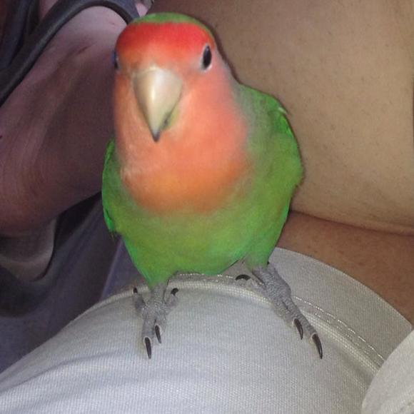 Profile Picture of Lela Selvidge (@lelaselvidge76) on Poshmark