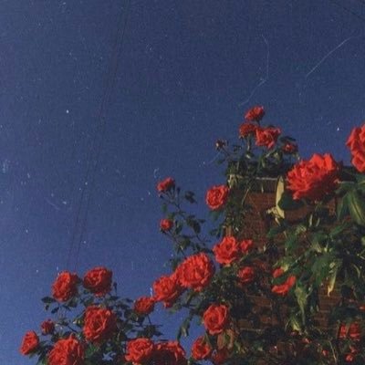 Profile Picture of GME (@GeorgeMEllis3) on Twitter