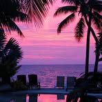 Profile Picture of Gus Nikolopoulos (@gus.nikolopoulos.5) on Facebook