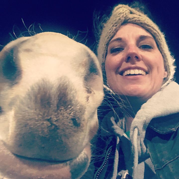 Profile Picture of Meredith Falls (@mfmamasquirrel) on Tiktok