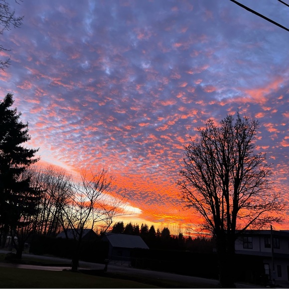 Profile Picture of Bryanna Charlie (@missmo0sey) on Poshmark