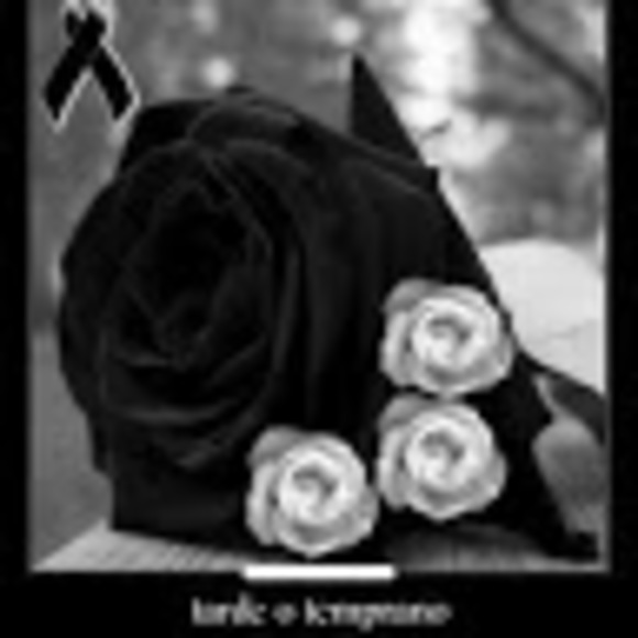 Ylonka Hernandez - Poshmark Profile Picture of Ylonka Hernandez (@ylonkahernandez) on Poshmark