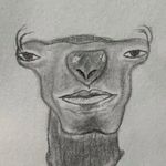 Profile Picture of Chase Mclean (@chasemclean406) on Instagram