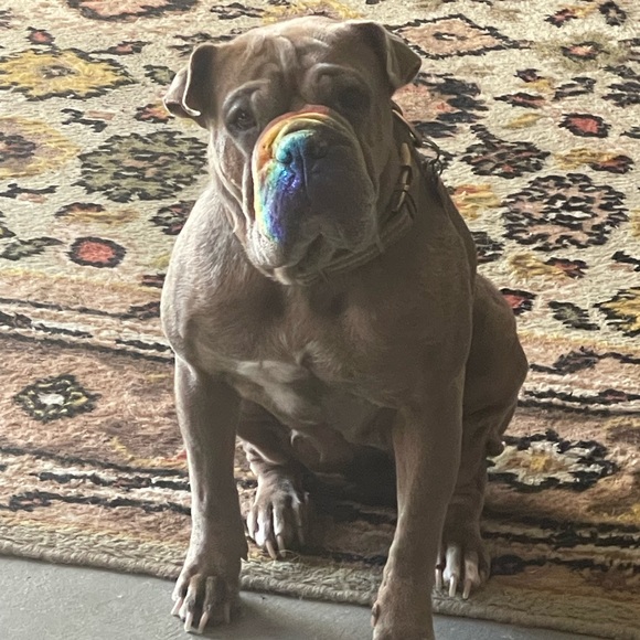 Dustin Manzi - Poshmark Profile Picture of Dustin Manzi (@dustinmanzi) on Poshmark