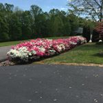 Profile Picture of Dan Bricker (@chillinatlakec) on Instagram