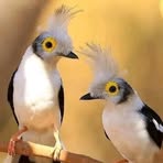 Profile Picture of Michael Barout (@Michael-Barout) on Facebook