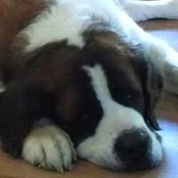 Profile Picture of Karen Stitely (@karen-stitely-1) on Quora