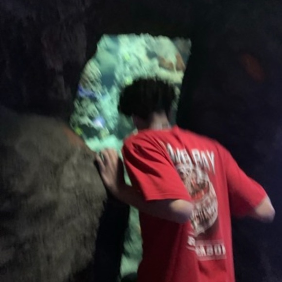 Profile Picture of Andres Arguello (@andresargu4) on Poshmark