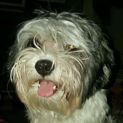 Profile Picture of Brett Talbott (@brettt1979) on Twitter