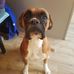 Profile Picture of Renate Steichen (@renate.steichen.7) on Facebook