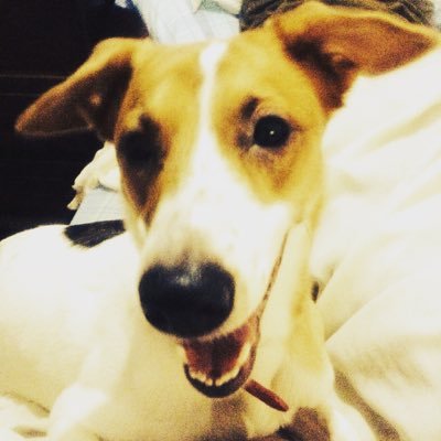 Profile Picture of Elide V Gonzalez (@gelide94) on Twitter