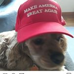 Profile Picture of Michael Farnsworth (@michael.farnsworth.7161) on Instagram