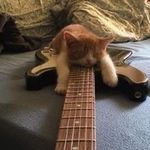 Profile Picture of Adam (@adam_.kessler) on Instagram