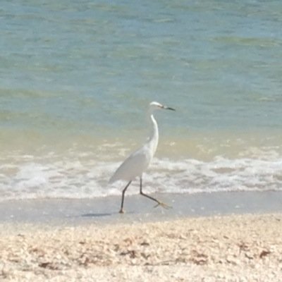 Profile Picture of Roberta Wright (@ReadingWright5) on Twitter