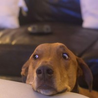 Aaron Malick  - Quora Profile Picture of Aaron Malick  (@aaron-malick) on Quora