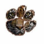 Profile Picture of Matt Arrants (@marrant1) on Instagram