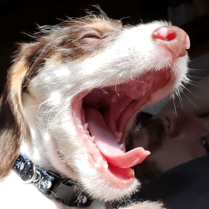 Profile Picture of Adriana Kemp (@adriccus) on Tiktok