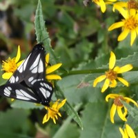 Mindy Kohn - Quora Profile Picture of Mindy Kohn (@mindy-kohn-1) on Quora