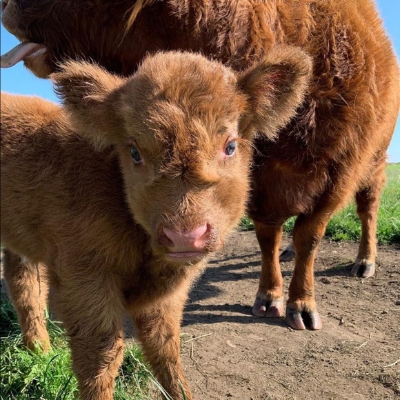 Profile Picture of Doris Davidson (@ddavidso) on Poshmark