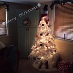 Profile Picture of Nancy Seifried (@nancyseifried) on Instagram