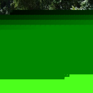 Roberta Mahaffey - Myspace Profile Picture of Roberta Mahaffey (@foxyharper) on Myspace