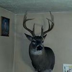 Profile Picture of Chris Springer (@springer_c) on Instagram
