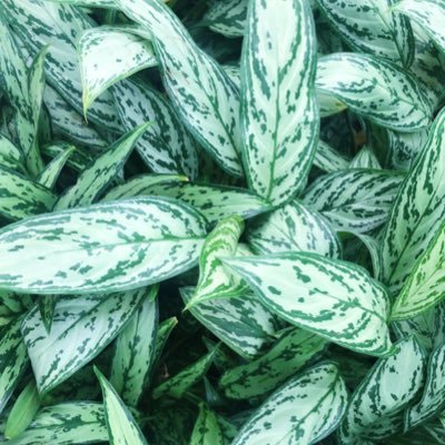 Profile Picture of Reagan Lawrence (@rlawrence1515) on Twitter