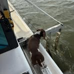 Greg Metzger - Facebook Profile Picture of Greg Metzger (@greg.metzger.120440) on Facebook