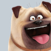 Profile Picture of Stephen Zhang (@stephenzhang1734) on Youtube