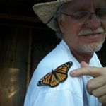 Profile Picture of Craig Oveson (@craigthebutterflyman) on Instagram