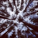 Profile Picture of chris axelson (@axelsonchris) on Instagram