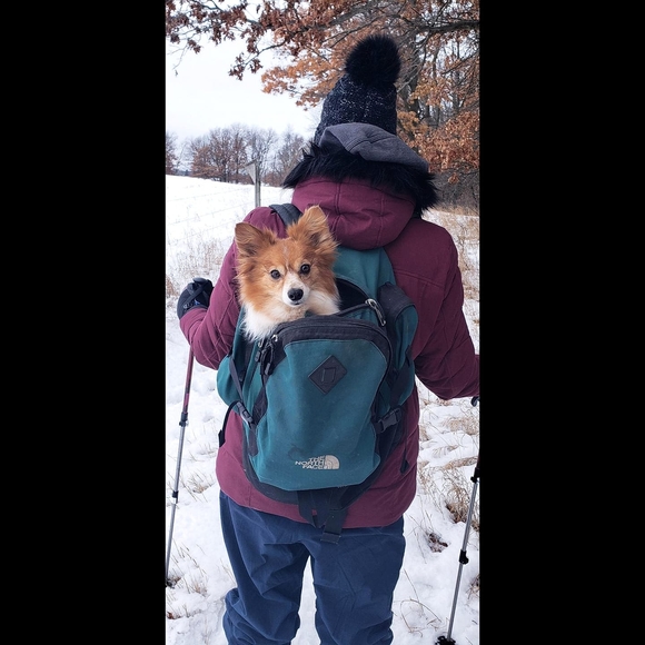 Profile Picture of Jennifer Troff (@jentro) on Poshmark