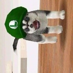 Profile Picture of Kevin Heriberto Escobar (@269642788) on Myspace