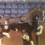 Profile Picture of Jason Sawyer (@sawyer8410) on Instagram