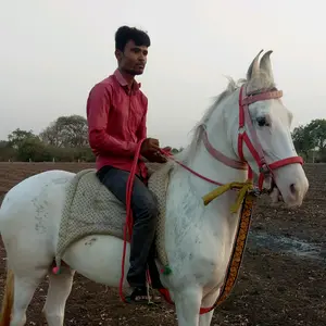 Profile Picture of Kaushik Gajipara (@kaushikgajipara2) on Tiktok