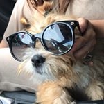 Profile Picture of Alfred Dixon (@freddytheteddy18) on Instagram