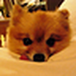 Profile Picture of Brian Carrera Shaw (@brian carrera shaw) on Flickr