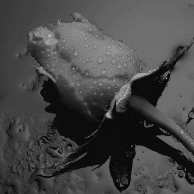 Profile Picture of J (@Jafar_Hussein) on Twitter