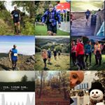 Profile Picture of Mark Cameron (@mark_cameron_runner) on Instagram