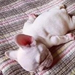 Profile Picture of 簫毅Shawn (@shawnhsiao3217) on Instagram